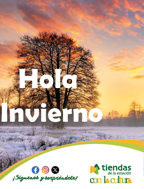 Cartel actividad invierno
