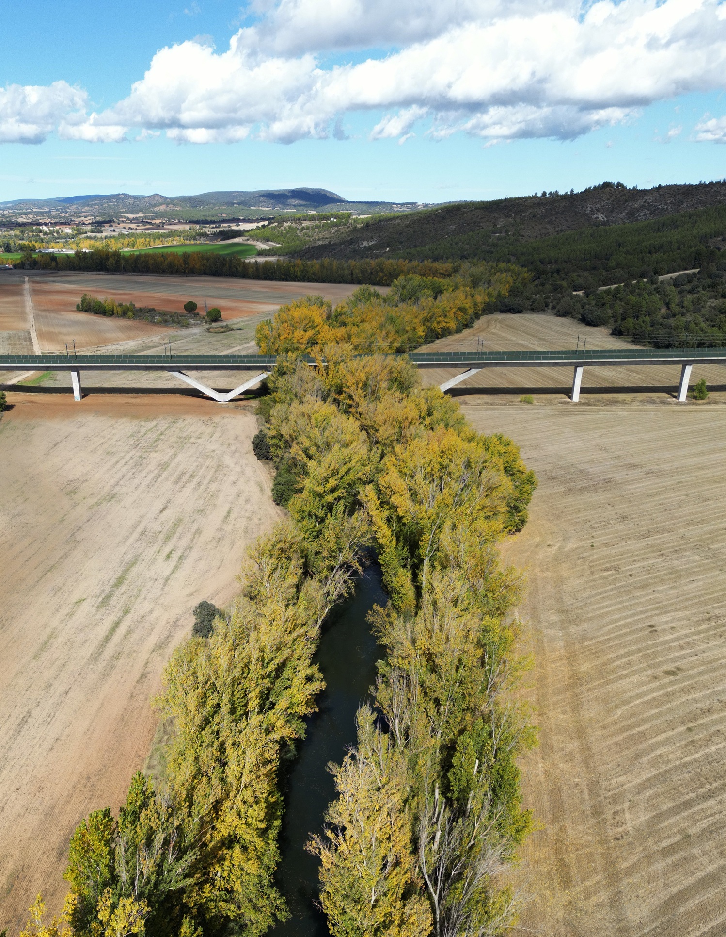 Viaducto sobre el río Júcar, en el Corredor de Levante de la LAV Madrid–València.