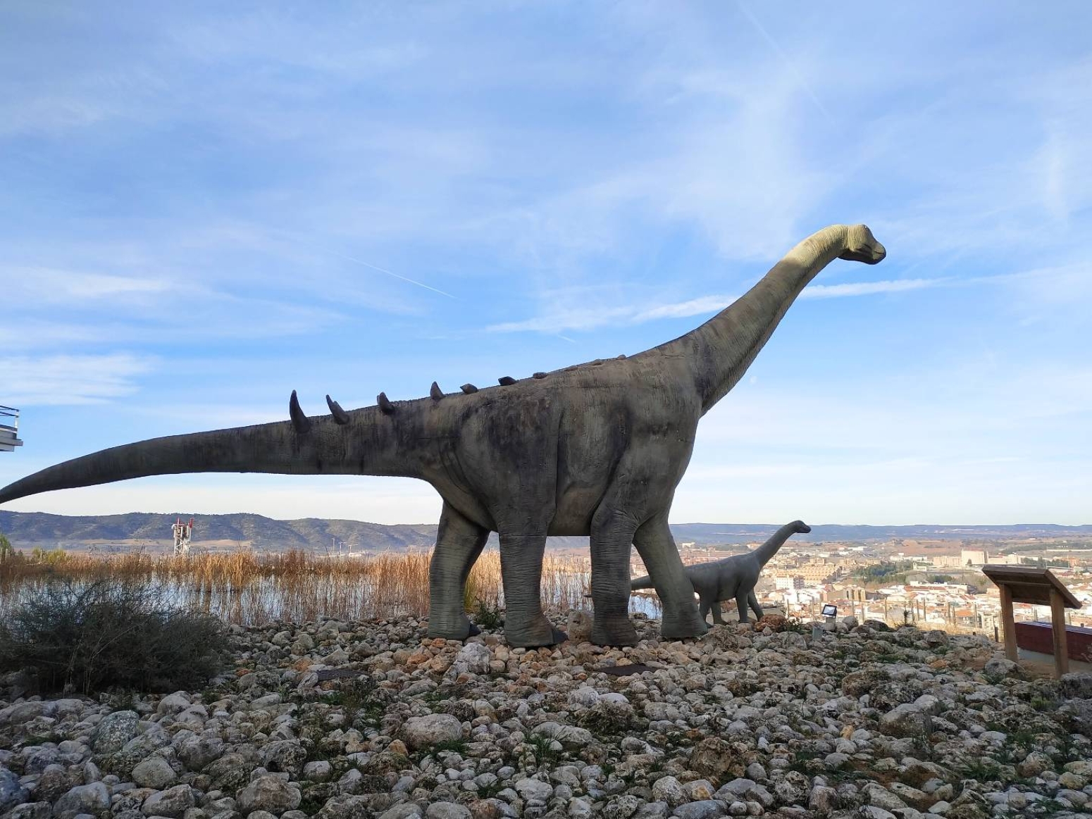Titanosaurio en los jardines del MUPA (Museo de Paleontología de Castilla-La Mancha), relacionado con la LAV