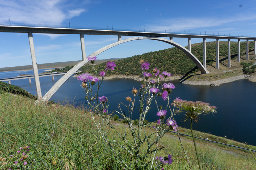 LAV Extremadura. Viaducto del Tajo. Vista desde el margen del río. Dispone de una luz principal de 324 m.